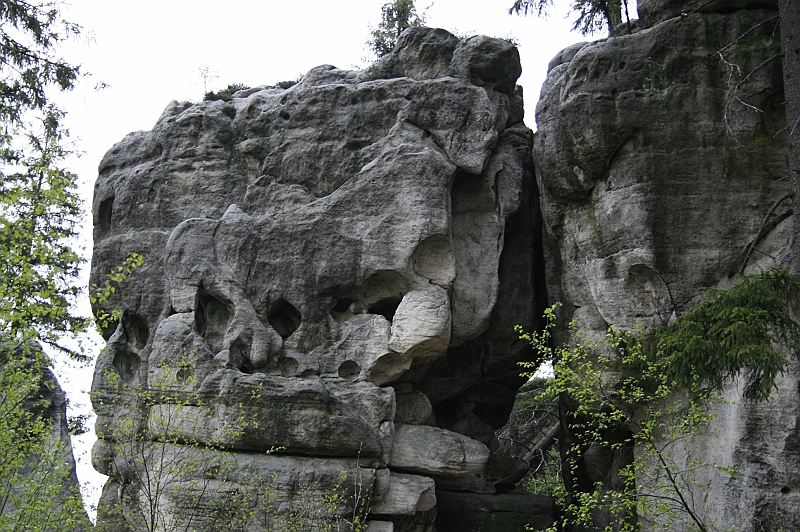 Original image